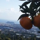 이슬농장 이미지