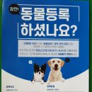 가나동물병원 이미지