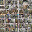 사천시농협장례식장 이미지