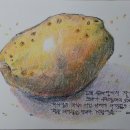 모과식당