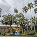 공항로R 이미지