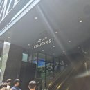 잠실 소피텔 앰배서더 페메종 런치 코스 후기