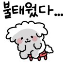 아일랜드김밥 - 시흥시 서울대학로264번길 12 | 아일랜드김밥