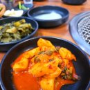 가비조아 이미지