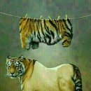 카사비앙카 이미지