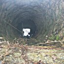 다을새길 이미지