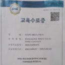 광주 고양이분양 브로스펫 이미지