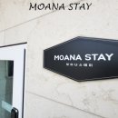 모아나스테이 이미지