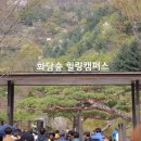 화담조경 이미지