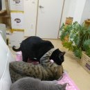 프린스실용음악학원 이미지