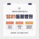 답21동물병원 | [충남/서산] 소중한 반려동물들을 정성껏 치료해 드립니다! :: 답21동물병원
