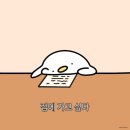 네일꽃Y