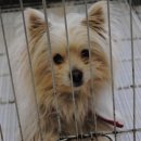 부산광역시 남구청 이미지