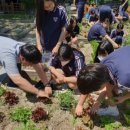 부산진여자중학교 이미지