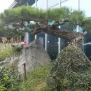 정원식당 앞 이미지