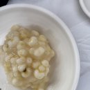 흥양송어횟집 | 원주 흥양 송어횟집 송어회, 송어구이, 회덮밥
