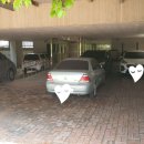 서수원로617번길 이미지