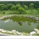 둥지캠핑장 이미지