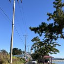 무안농협 화장실 이미지