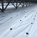 플러스2 태양광발전소 이미지