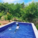 물개스테이 이미지