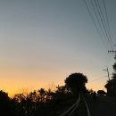 새천년공원길 이미지