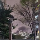 벽적골주공 8단지2차 | 영통역 영통동 벽적골 9단지 주공아파트 24평 실거주 후기_(1) 매수 일기