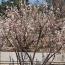 효창농장 이미지