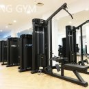 Young Gym 이미지