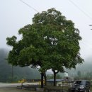 삼탄민박 이미지