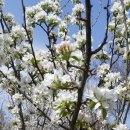 물골농장 이미지