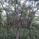 유성구세동보건진료소 이미지