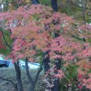 산본중앙공원 이미지