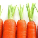 아트테라피 이미지