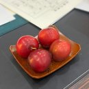 휴먼라이프코칭연구소 | 울산 사주관상 제대로 보는 이찌방 명리연구소 솔직 후기