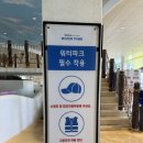 모나오션 | 모나용평 워터파크 평창 아이랑 갈만한곳 용평워터파크