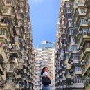 청라언덕 경관 포토 | [홍콩] 여행 가볼만한곳 포토스팟 Top5 익청빌딩 야경명소 벽화거리