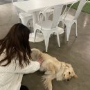 OHT(오해트) 이미지