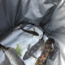 별빛달빛펜션 이미지