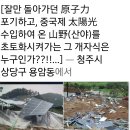'탈원전이었던 적 없다' 이재명 정부 / 서민 20260214 조선 外 이미지