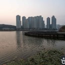 용성국제여행사 이미지