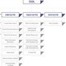 디에스디엘 이미지