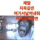 씨유강릉교동바른점 | 기말고사 먹금하고 블로그나 들어와