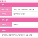 돌리블리