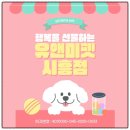 살랑살랑 펫미용 | 부천 시츄분양 후기｜유앤미펫에서 만난 순둥순둥한 우리 시츄 아가