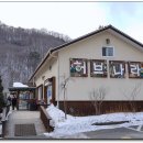 하얀허브 이미지