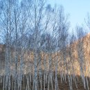 산촌2민박 | 경북 영양 웰니스 시니어 여행지 장계향 문화체험교육원 완벽 코스