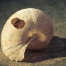 온봄의원 이미지