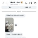 단풍이네 그루밍샵 이미지