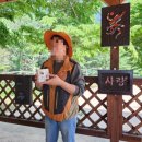 청옥산깨비마을 야영장 이미지